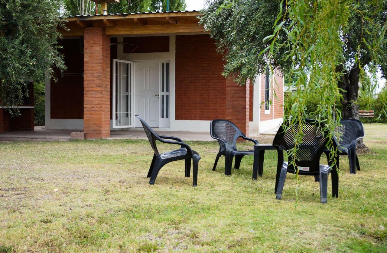 Complejo Olivos *