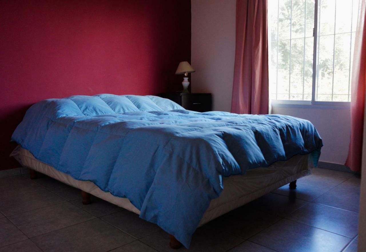 Apartment Complejo Olivos San Rafael (Mendoza)